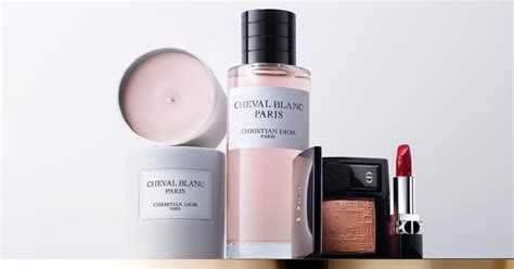 blemish treatment christian dior paris|dior cheval blanc premier.